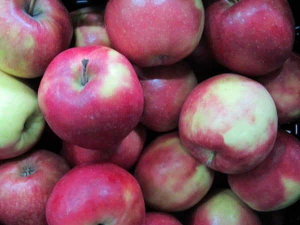 Apfel Marnica 70+ DEMETER, 500g
