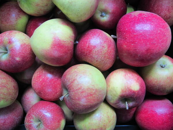 Apfel Natyra 60+ NATURLAND, 500g
