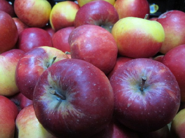 Apfel Topaz 60+ NATURLAND, 500g