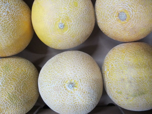 Galiamelone, Stückware, ca. 1kg