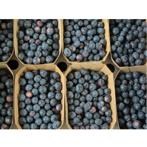 Heidelbeeren, 125g Schale