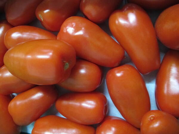Tomate San Marzano, Deutschland, DEMETER, 500g