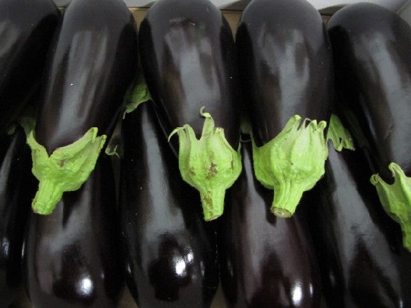 Aubergine klassisch