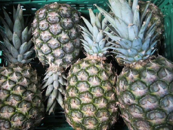Bio Ananas Extra Sweet