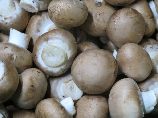 Champignon NATURLAND FAIR, 500g