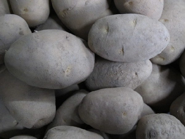 Kartoffel Linda festkochend BIOLAND, 500g