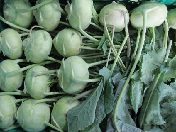 Kohlrabi BIOLAND
