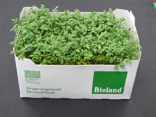 Kresse in Schale, BIOLAND