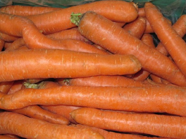 Möhre samenfest BIOLAND, 500g
