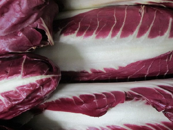 Radicchio Treviso, länglich, Stückware, 400-500g