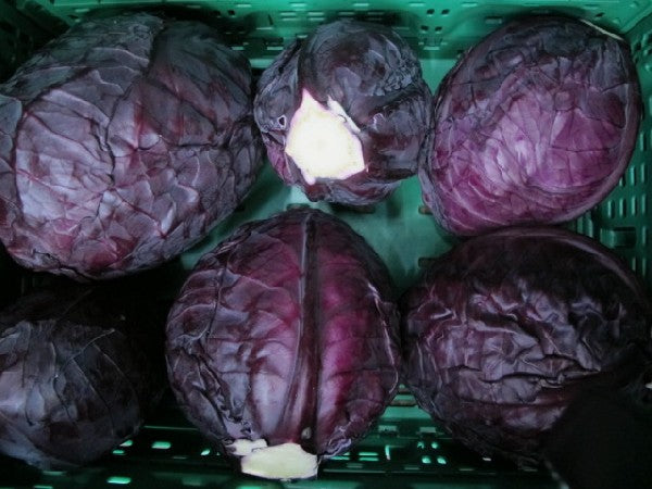 Rotkohl sf BIOLAND, Stückware