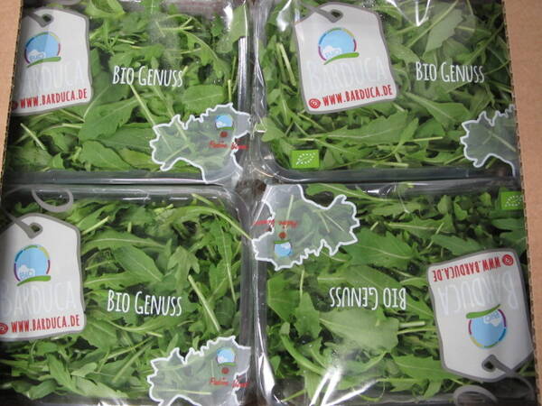 Rucola im Schälchen, 125g