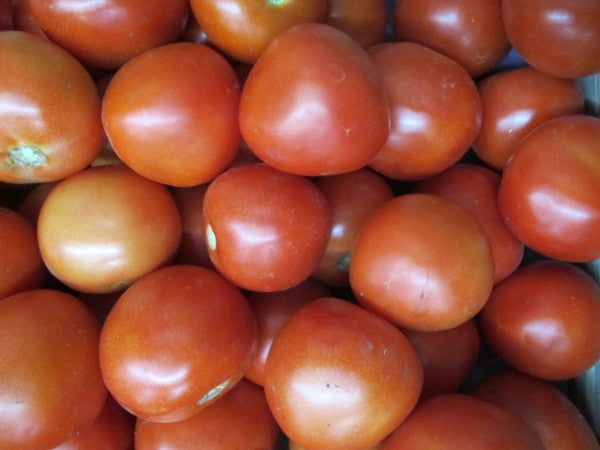 Tomate rund, 500g