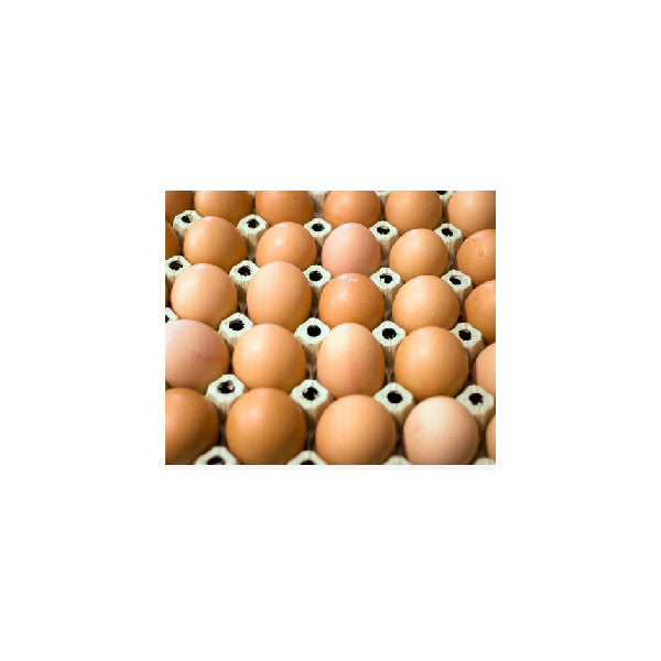 BIOLAND Eier, Gewichtsklasse L, HK: A