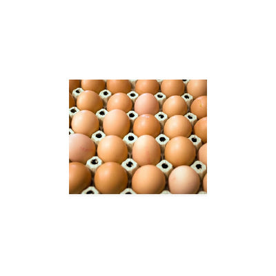 BIOLAND Eier, Gewichtsklasse M, HK: A