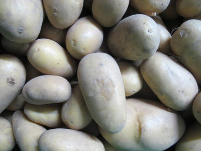 Kartoffel Glorietta festkochend BIOLAND, 500g