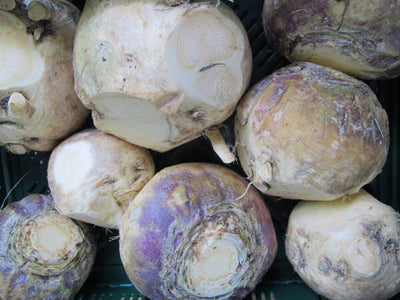 Steckrübe BIOLAND, Stückware (ca. 1kg)